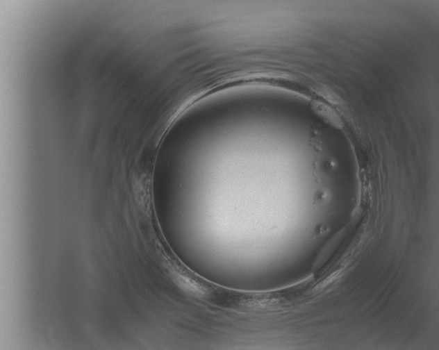 X0000061121369200511241658