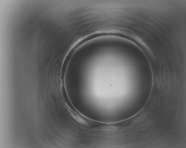 X0000061121372200511241658