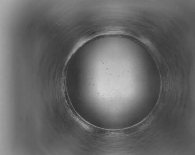 X0000061121374200511241658