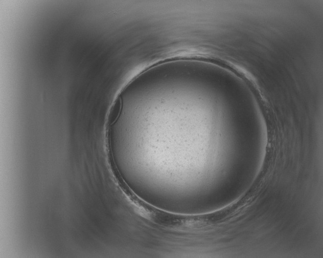 X0000061121375200511241658