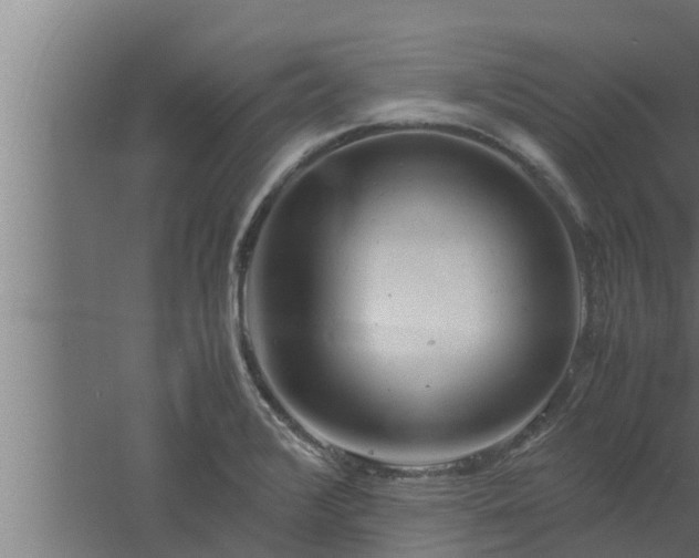 X0000061121376200511241658