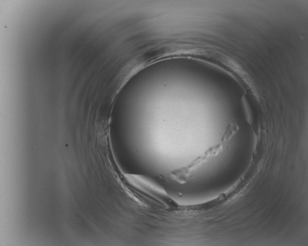 X0000061121377200511241658