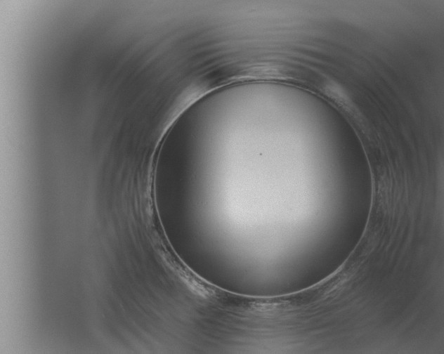 X0000061121378200511241658