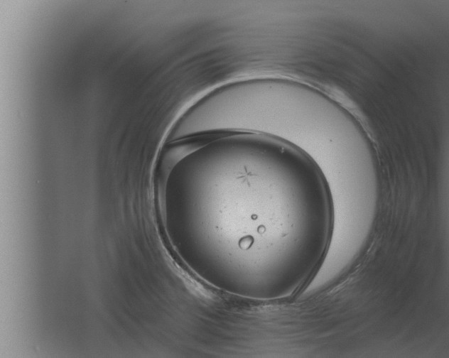 X0000061121380200511241658