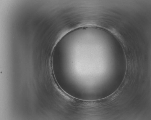 X0000061121382200511241658