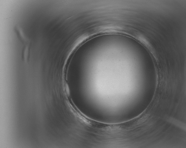 X0000061121384200511241658