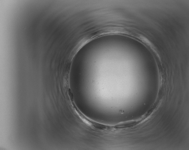 X0000061121385200511241658