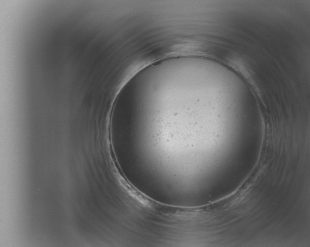 X0000061121386200511241658