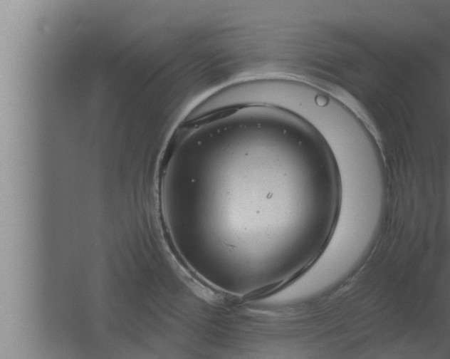 X0000061121388200511241658