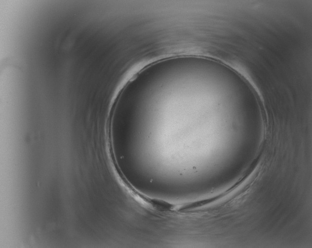 X0000061121389200511241658