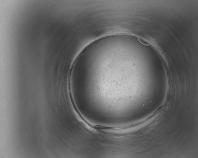 X0000061121390200511241658