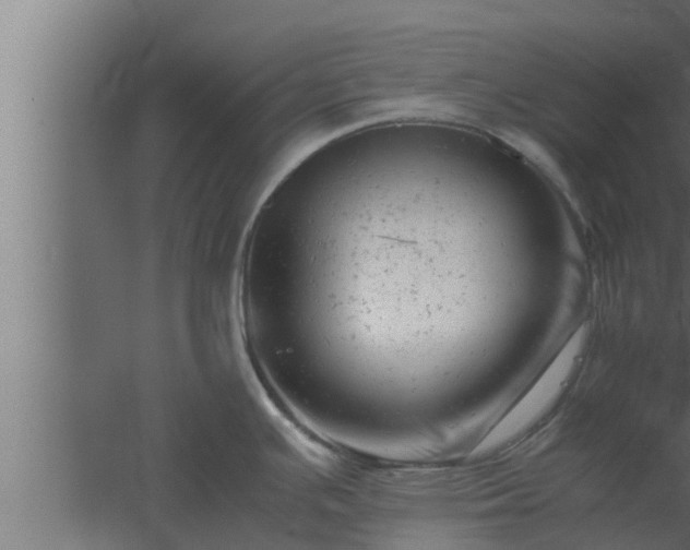 X0000061121391200511241658