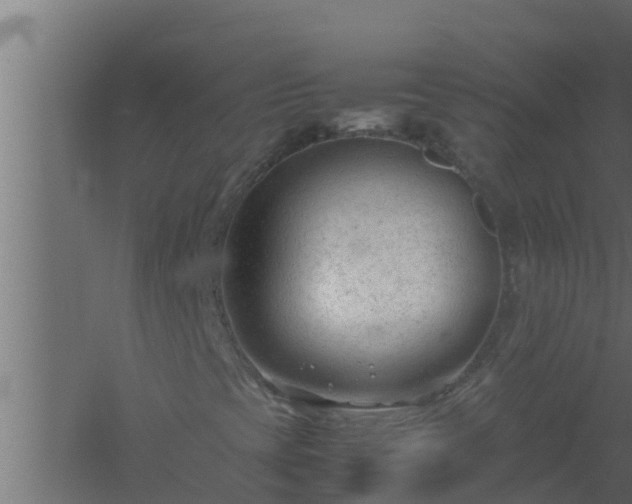 X0000061121393200511241657