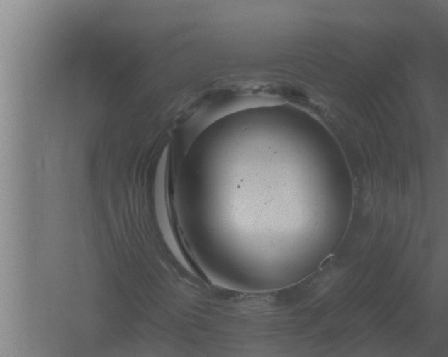 X0000061121394200511241657