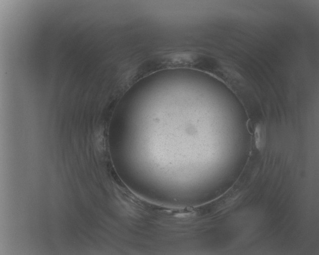 X0000061121395200511241657