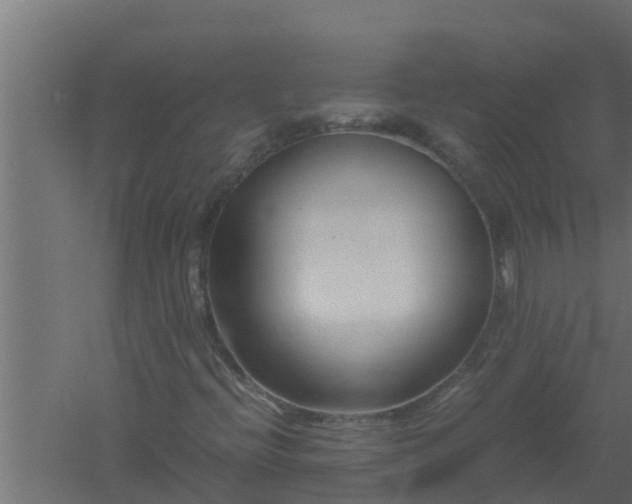 X0000061121396200511241657