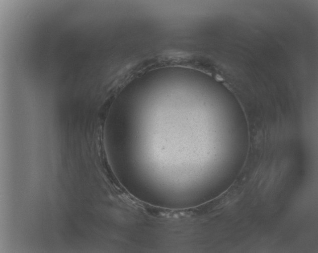 X0000061121397200511241657