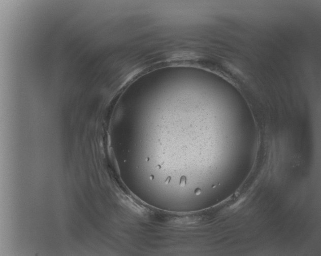 X0000061121401200511241657