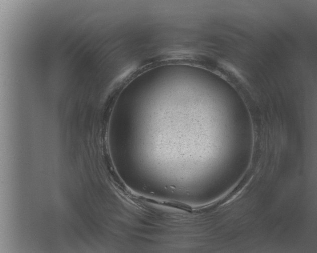 X0000061121403200511241657