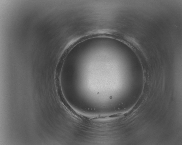 X0000061121404200511241657