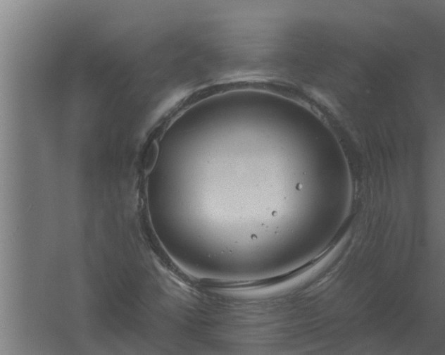 X0000061121406200511241657