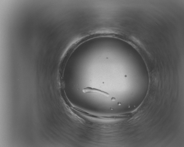 X0000061121408200511241657