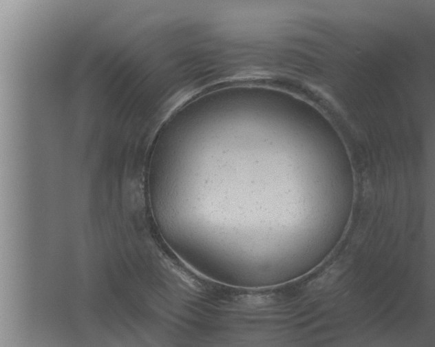 X0000061121409200511241657