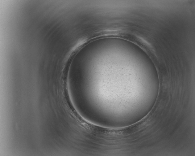 X0000061121411200511241657