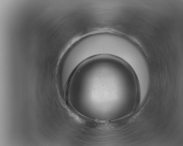 X0000061121414200511241657