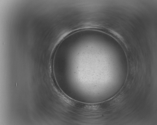 X0000061121415200511241657