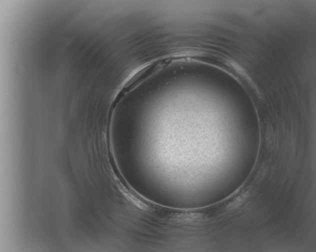 X0000061121417200511241658