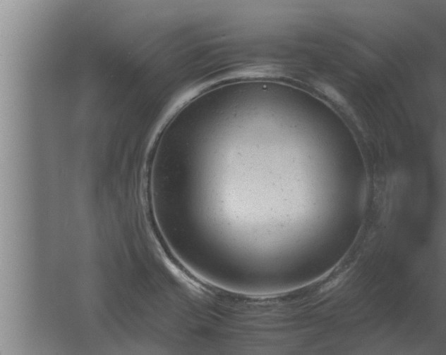 X0000061121421200511241658