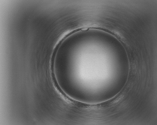 X0000061121422200511241658