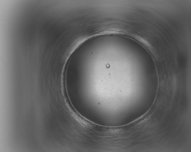 X0000061121423200511241658