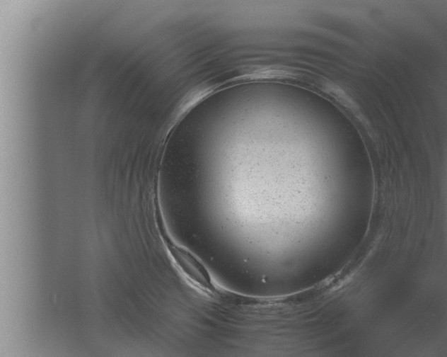 X0000061121425200511241658