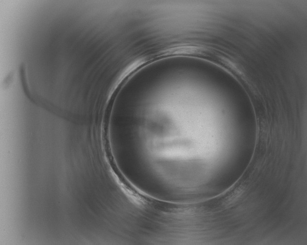 X0000061121426200511241658