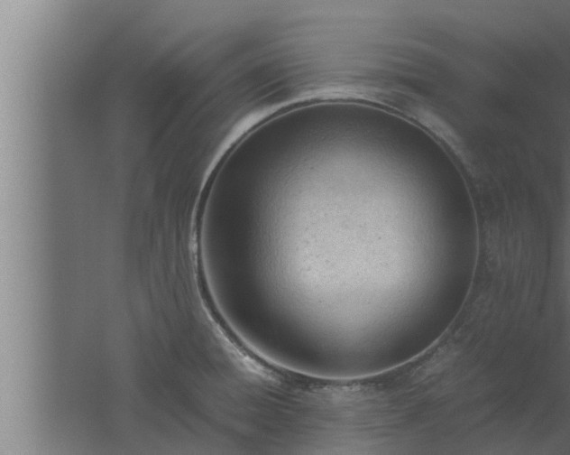 X0000061121428200511241658