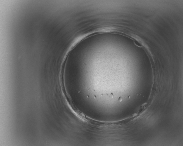 X0000061121429200511241658