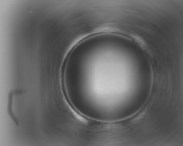 X0000061121430200511241658