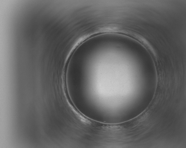 X0000061121432200511241658