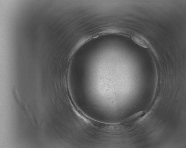 X0000061121433200511241658