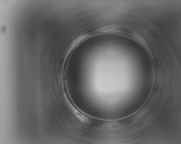 X0000061121434200511241658