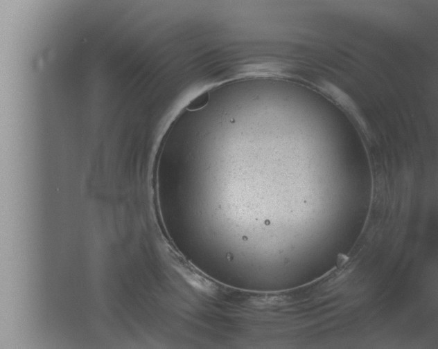 X0000061121435200511241658