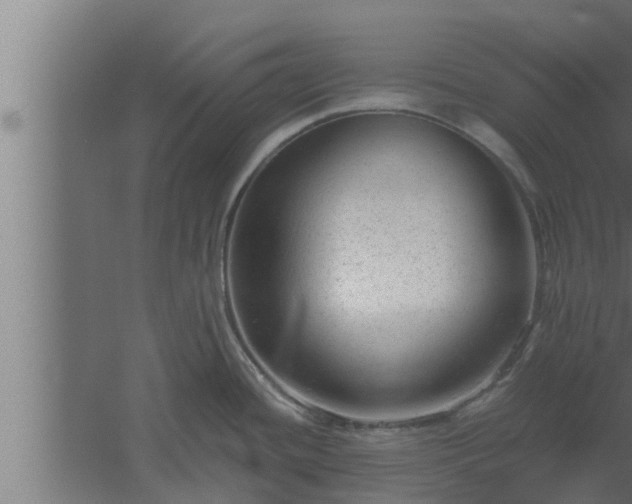 X0000061121436200511241658