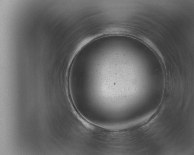 X0000061121437200511241658