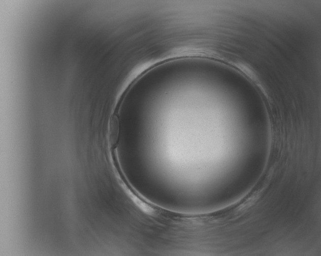 X0000061121438200511241658