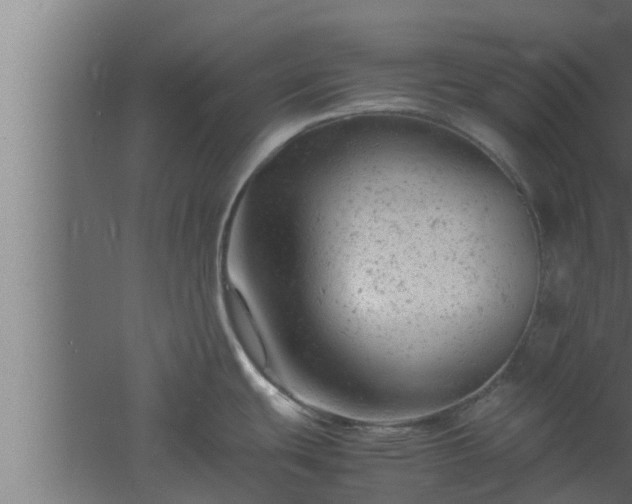 X0000061121439200511241658