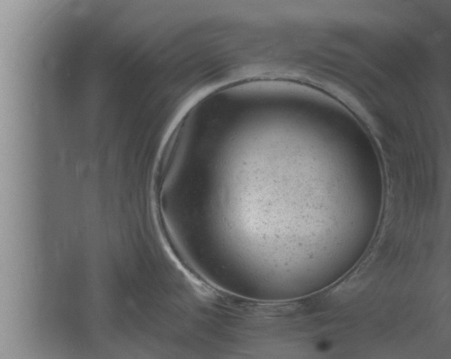 X0000061121440200511241658