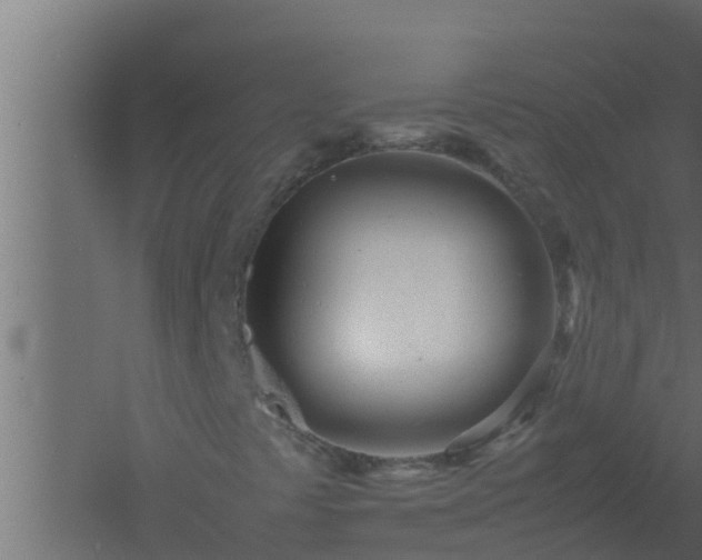 X0000061121441200511241657