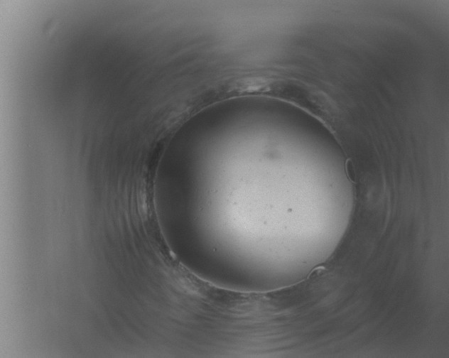 X0000061121442200511241657